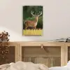 Hert - Gewei - Gras - Natuur - Dieren - Groen plexiglas 5mm klein -sfeer4
