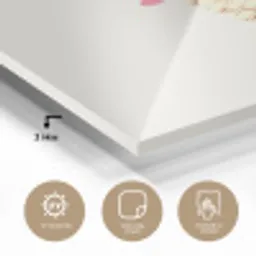 Schepijs - Hoorntje - Illustratie - Minimalistisch plexiglas 5mm klein -sfeer2