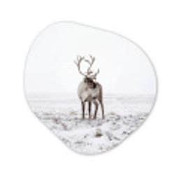 Rendier - Gewei - Sneeuw - Winter Wandcirkel Organisch Aluminium middel -3d