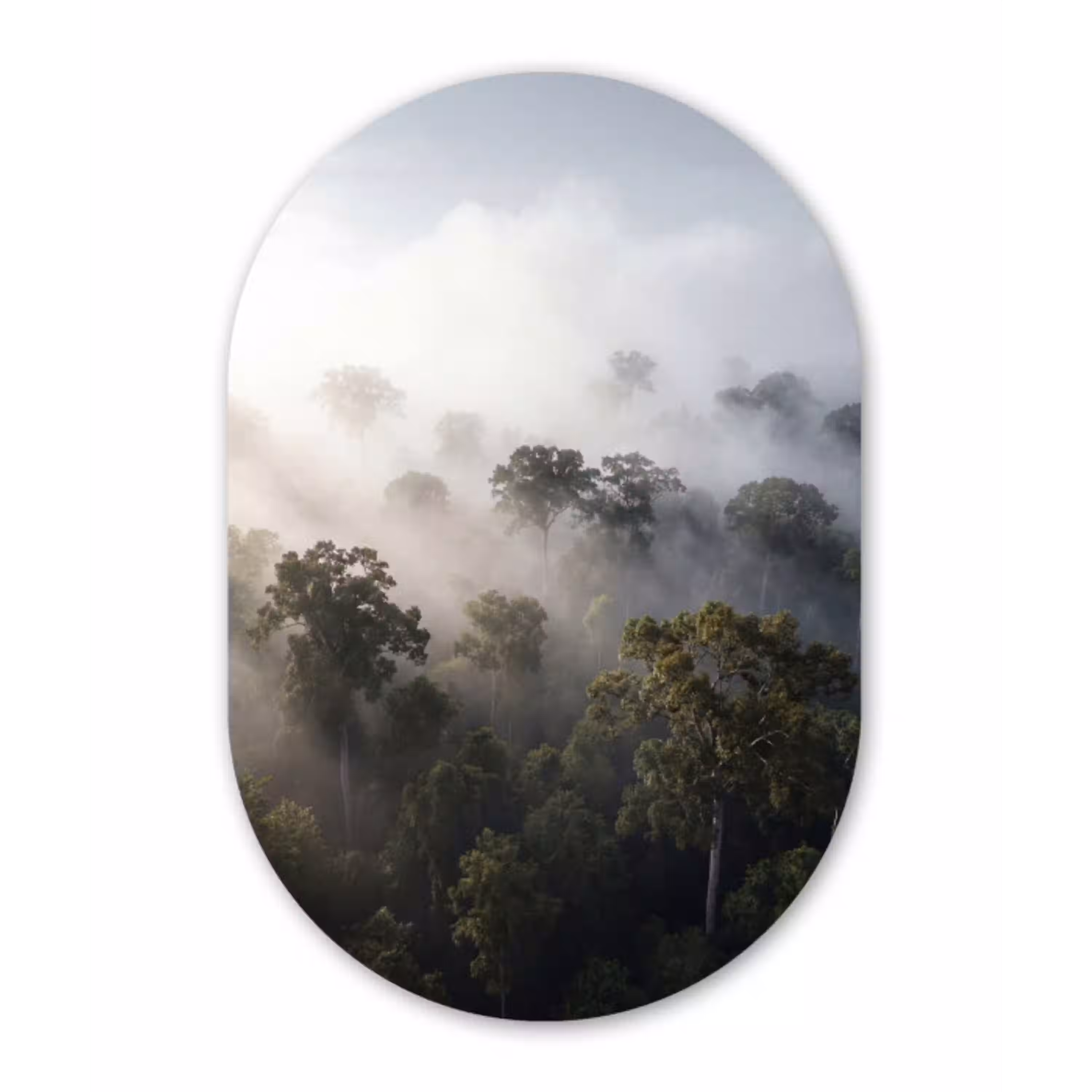 Bos - Mist - Natuur - Groen Wandcirkel Ovaal Aluminium middel -3d