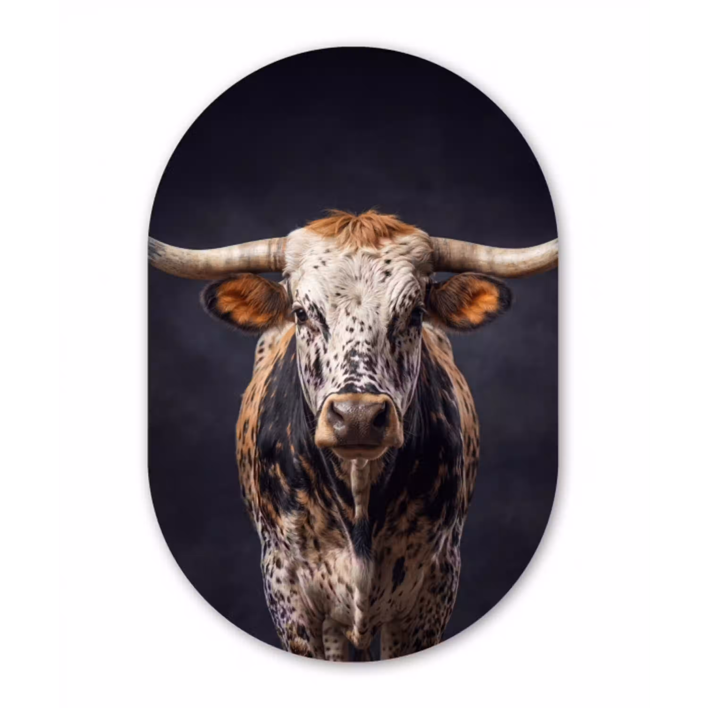 Stier - Kleurrijk - Hoorns Wandcirkel Ovaal Aluminium middel -3d