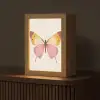 Vlinder - Illustratie - Roze Light Box met kabel (Tafellamp) klein -z3d_website