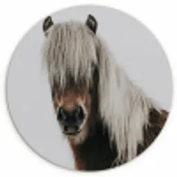 Paarden - Dieren - Portret - Bruin - Wit Wandcirkel kunststof plaat 5mm dik klein -3d