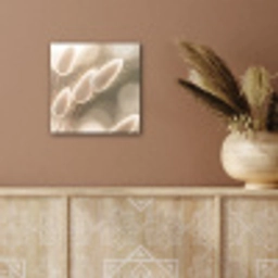 Hazestaartgras - Wit - Zonlicht aluminium wit klein -sfeer4