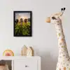 Koeien - Zon - Gras - Dieren - Boerderij fotolijst zwart zonder passe partout klein -usfeer4_kinderkamer