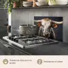Stier - Kleurrijk - Hoorns keuken achterwand spatscherm klein -usp_IT