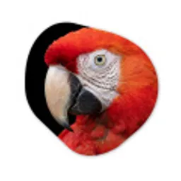 Ara - Portret - Rood Wandcirkel Organisch Aluminium middel -3d