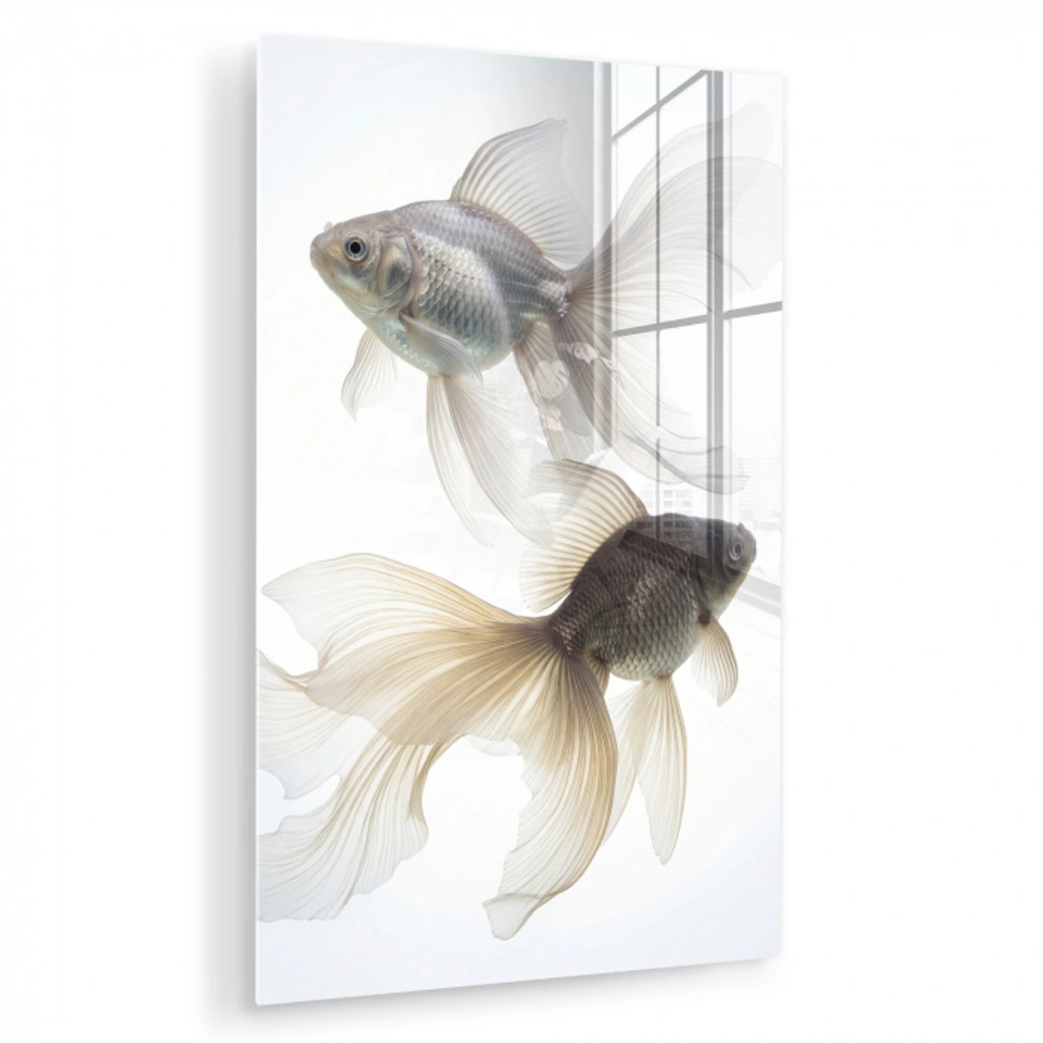 Goudvissen - Modern - Wit plexiglas 5mm klein -zzzproduct_nieuw