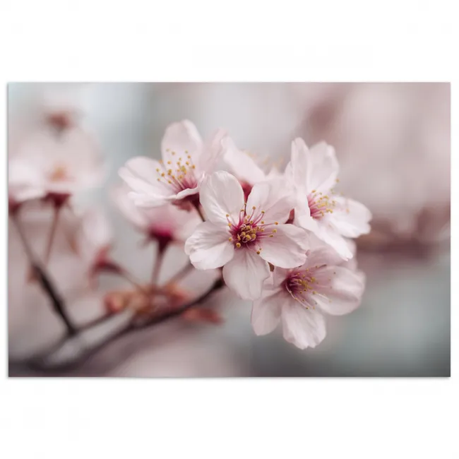 Poster - Bloesems - Meeldraden - Geel - Wazig