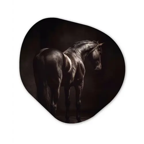 Krachtig - Paard - Donker Wandcirkel Organisch Aluminium middel -3d