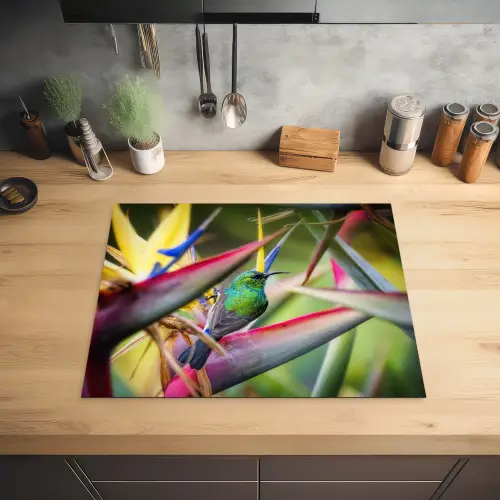 Kleurrijke vogel tussen allemaal kleurrijke platen Inductie beschermer vinyl 3mm groot -sfeer5