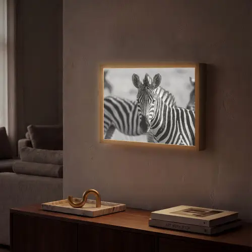 Zebra's - Zwart - Wit Light Box met batterij (Wandlamp) middel -sfeer1