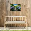 Hortsensia - Pad - Bloemen Tuinposter op houten frame 2 cm dik klein -sfeer4