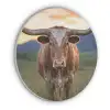 Longhorn - Landschap - Zonsondergang Akoestische PET Vilt - Rond klein -3d