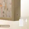 Graffiti - Panda - Ballon - Street art - Dier Light Box met batterij (Wandlamp) middel -USP_websiteoplaadbaarNL