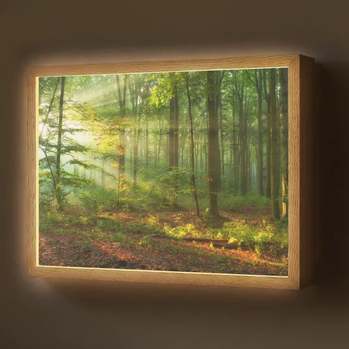 Zon - Bos - Bomen - Natuur - Herfst Light Box met batterij (Wandlamp) middel -z3d_website