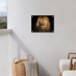 Leeuw - Dieren - Zwart - Licht - Bruin - Portret tuinposter los doek klein -sfeer8