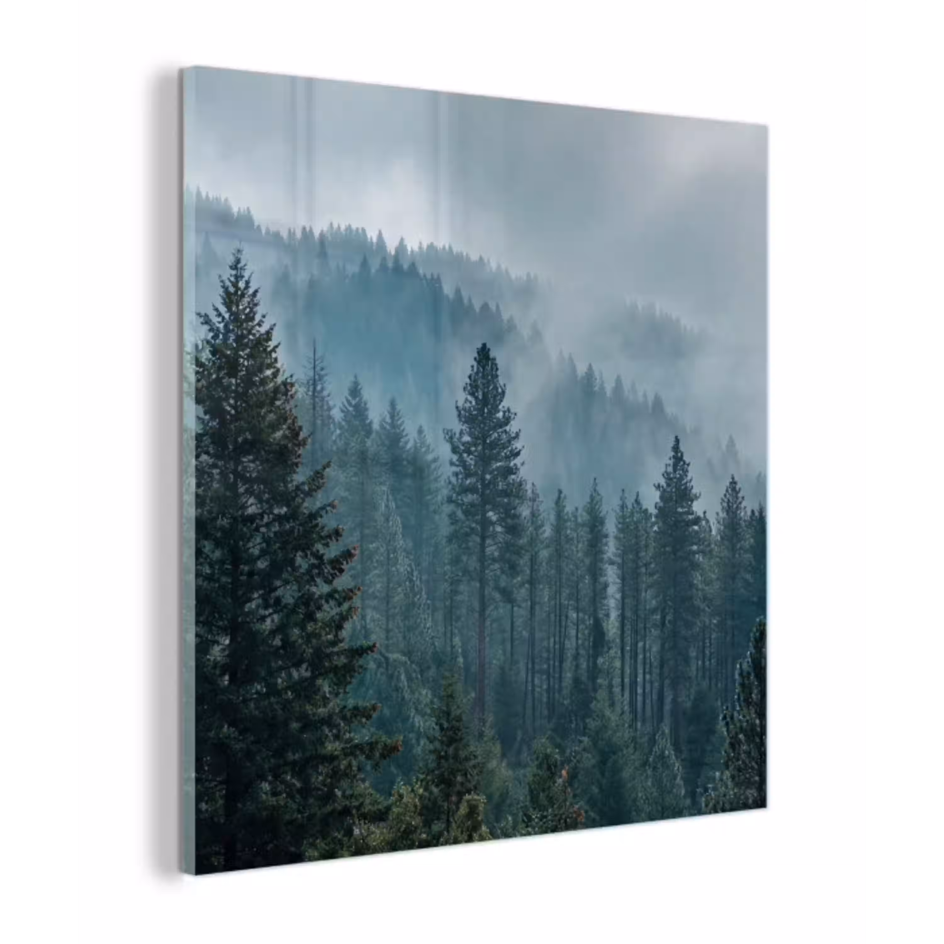 Naaldwoud - Bergen - Mist plexiglas 5mm klein -z3d