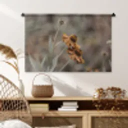 Zonnehoed - Droogbloemen - Geel - Warm Wandkleed katoen middel -sfeer5