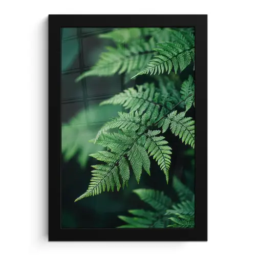 Varenblad - Groen - Structuur - Wazig fotolijst zwart zonder passe partout klein -3d