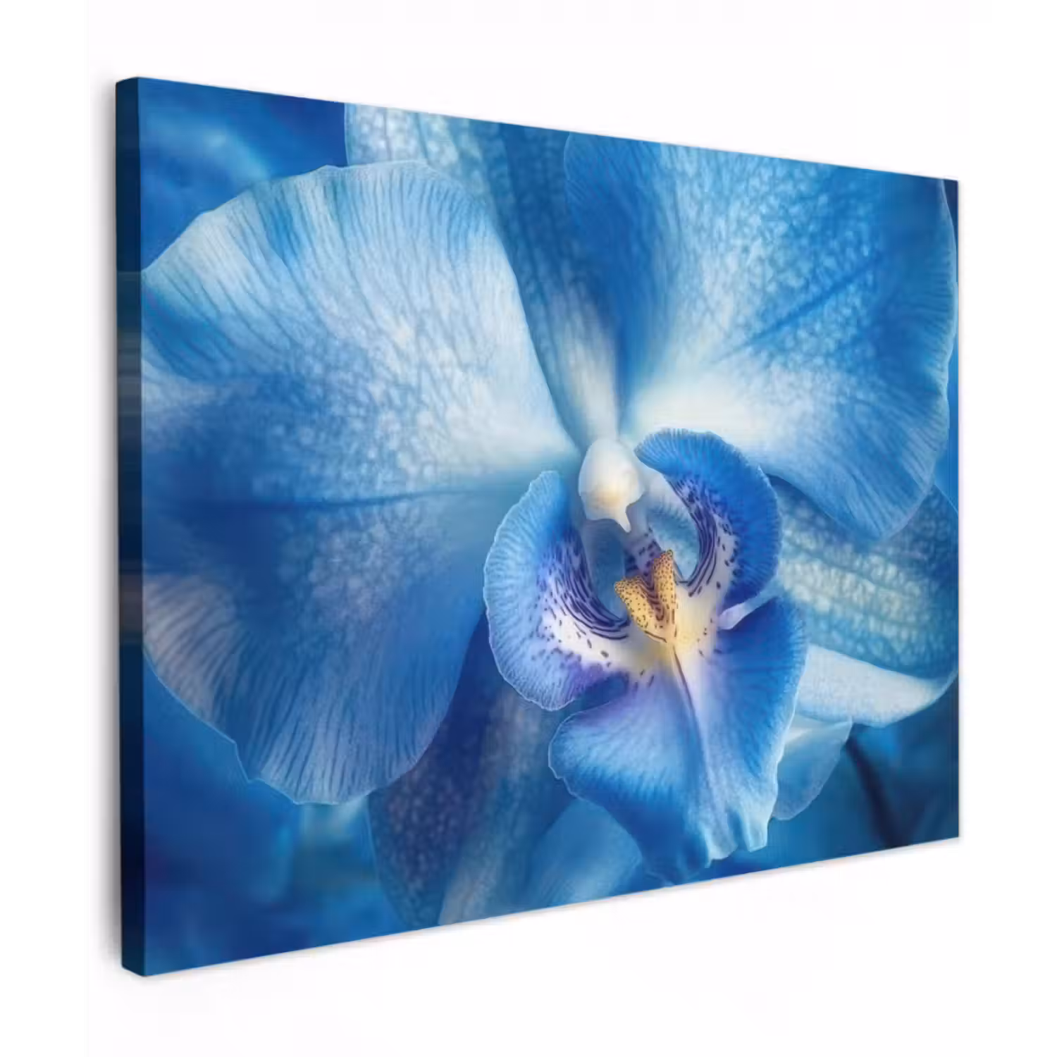 Leinwandbild - Blau - Orchidee - Elegeant