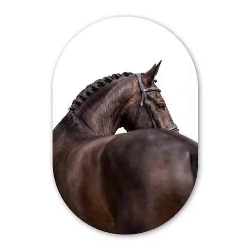 Portret - Paard - Elegant Wandcirkel Ovaal Forex klein -3d