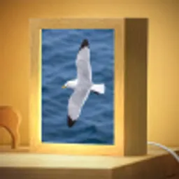 Zeemeeuw - Oceaan - Blauw Light Box met kabel (Kinderlampje) klein -zzzz_3d_website