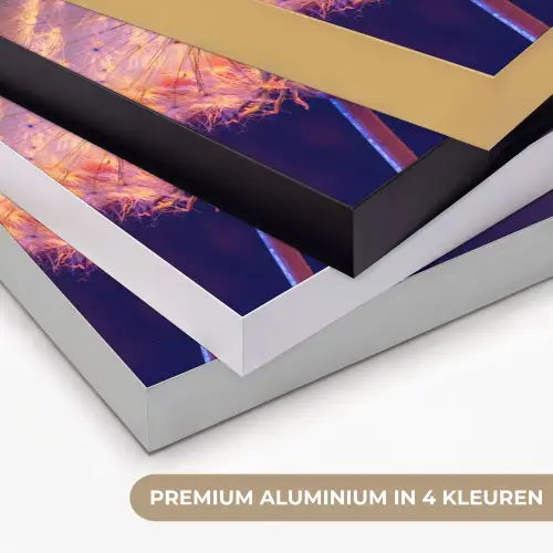 Paardenbloem - Bloemen - Zonsondergang - Horizon - Nacht Textielframe zwart klein -USP_kleurenNL