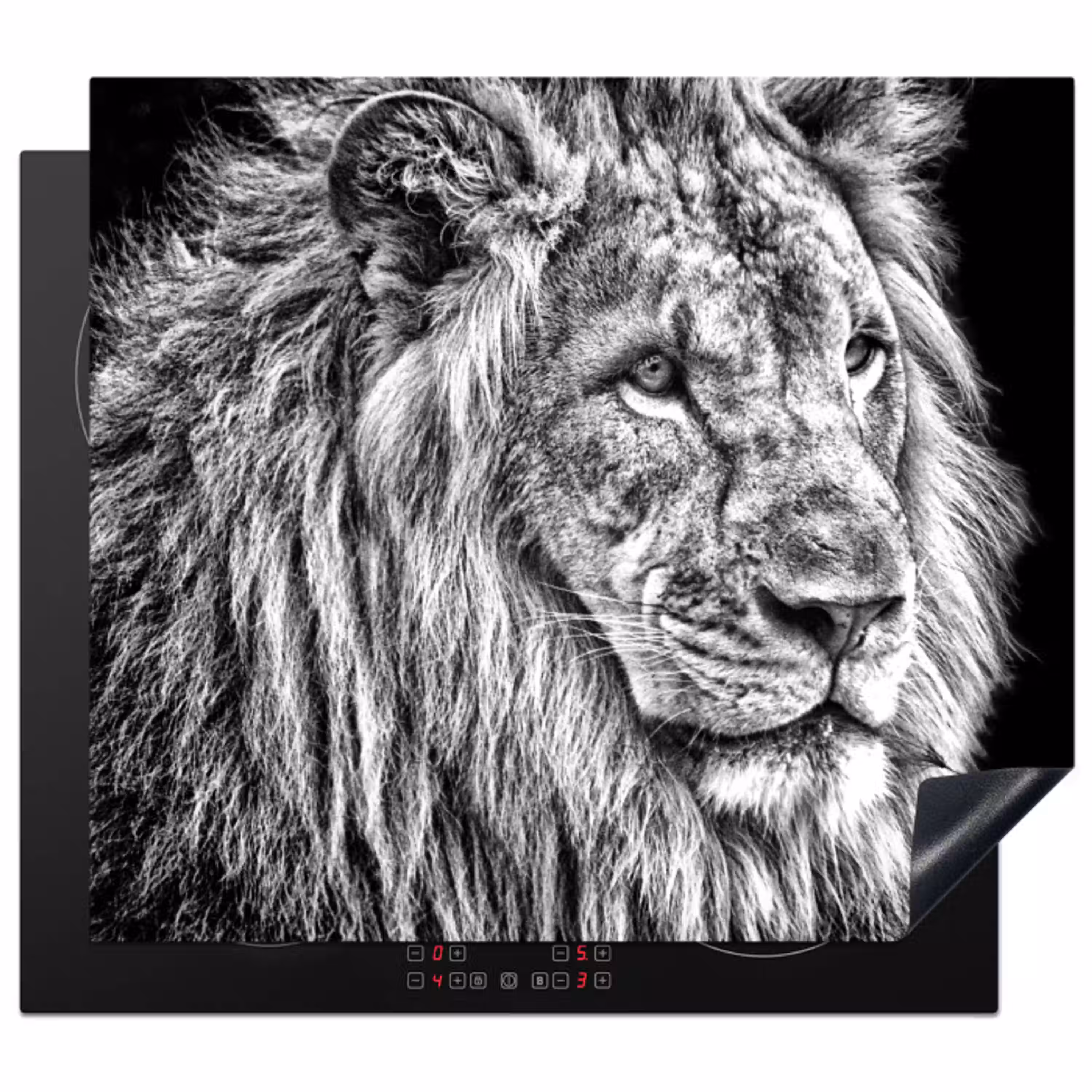 Gravure van een Koning Inductie beschermer vinyl 3mm middel -3d