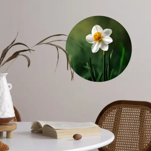 Narcis - Bloem - Wit - Grassprieten Wandcirkel behangsticker klein -sfeer3