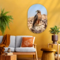 Valk - Vogel - Rots - Macht Wandcirkel Ovaal Glas middel -sfeer4