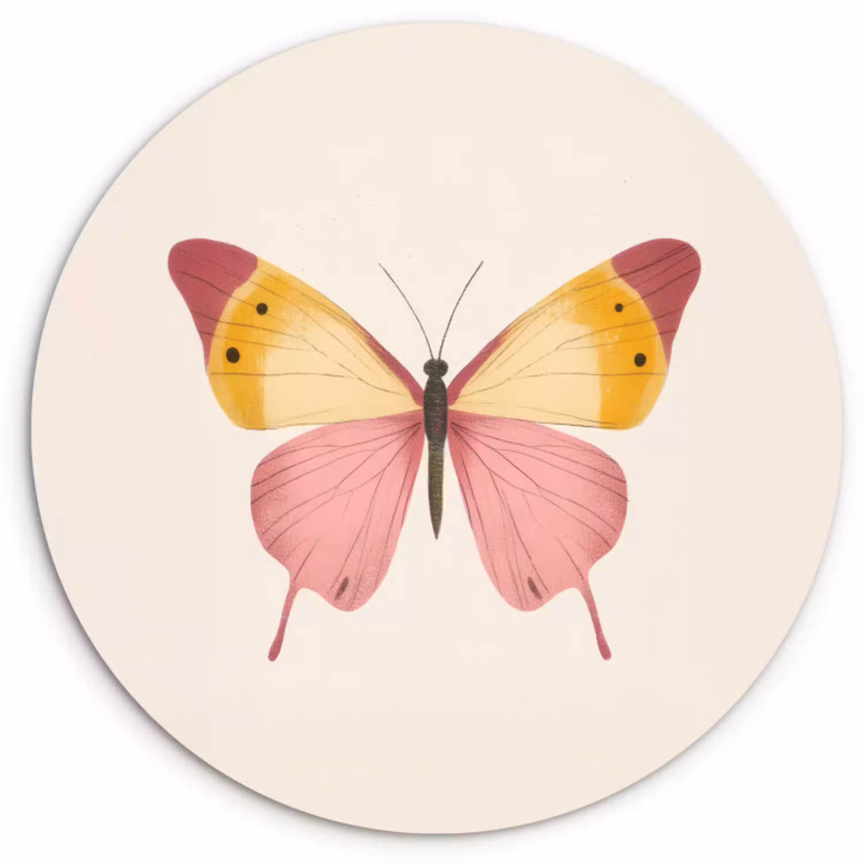 Vlinder - Illustratie - Roze Wandcirkel kunststof plaat 5mm dik klein -3d