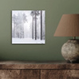 Bos - Sneeuw - Pad - Winter - Stilte aluminium wit klein -sfeer2