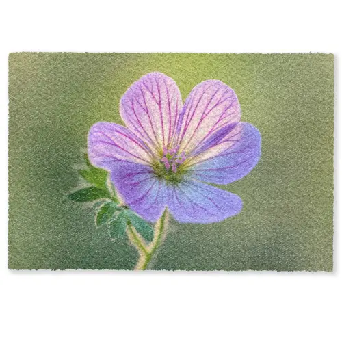 Bloem - Close up - Paars Deurmat klein -zkaufland3d