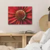 Close up - Bloem - Quote - Rood PET vilt klein -sfeer3