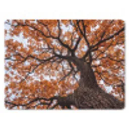 Boom - Bladerdak - Herfst - Oranje - Sfeervol muismat rubber klein -3d