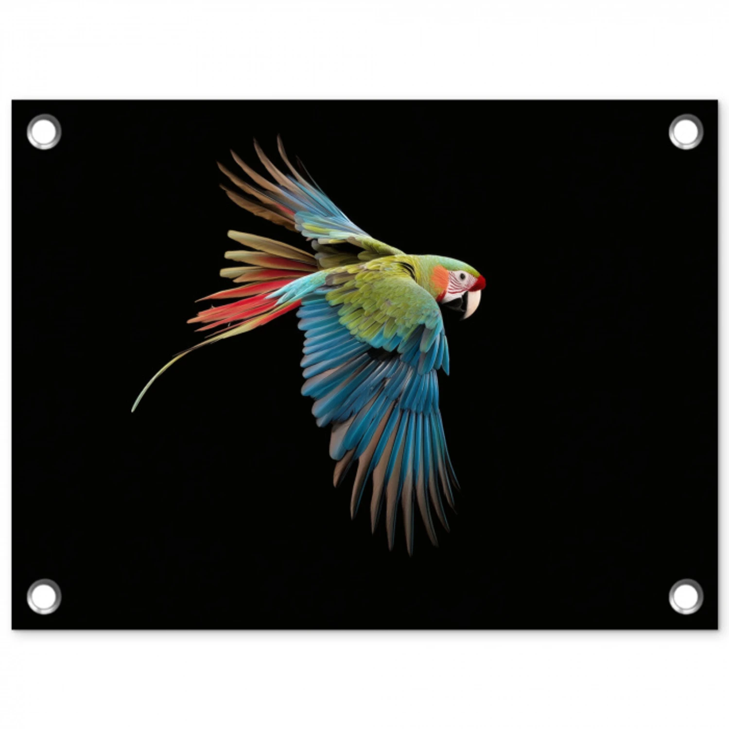 Papegaai - Kleurrijk - Vleugels - Sierlijk tuinposter los doek klein -3d