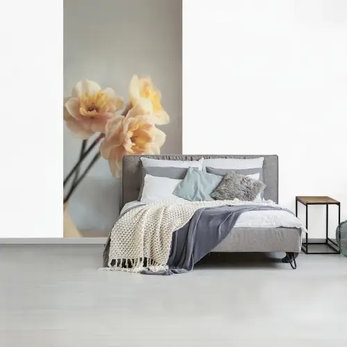 Narcissen - Geel - Bloemblaadjes fotobehang vinyl groot -slaapkamer
