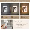 Paard - Modern - Balans Light Box met kabel (Tafellamp) klein -USP_lichtkleurDE