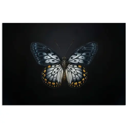 Vlinder - Monochroom - Balans poster papier klein -3d