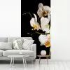 Orchidee - Bloemen - Planten - Botanisch fotobehang vinyl groot -woonkamer