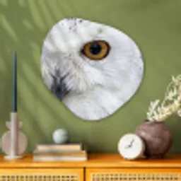 Sneeuwuil - Oog - Wildlife - Wit Wandcirkel Organisch Aluminium middel -sfeer2