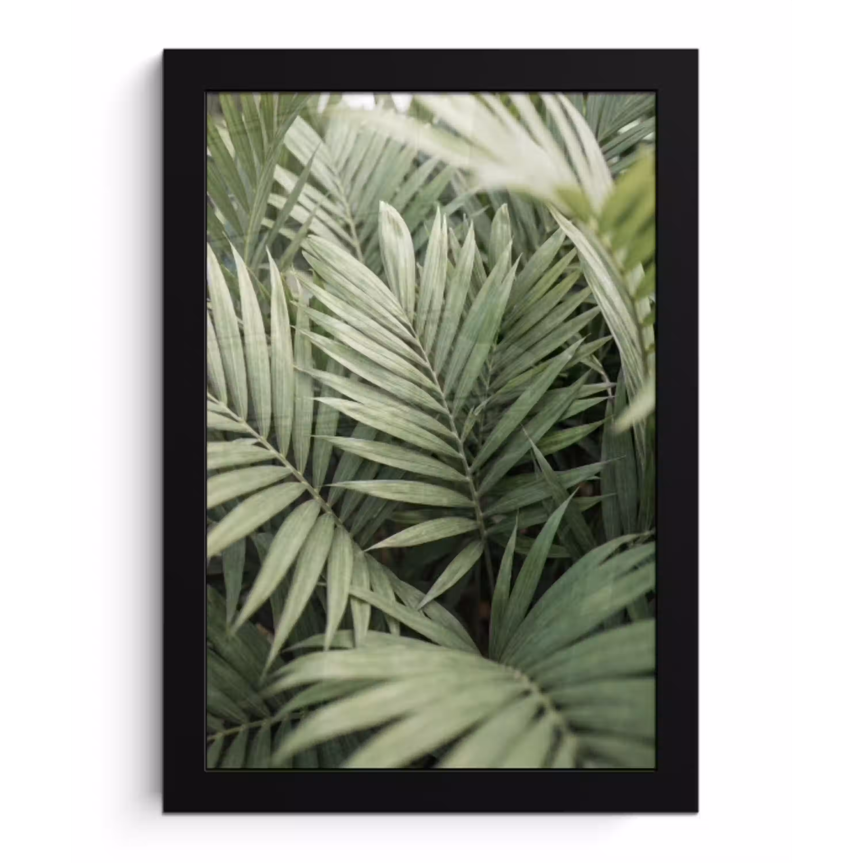 Plant - Palmbladeren - Natuur - Groen fotolijst zwart zonder passe partout klein -3d