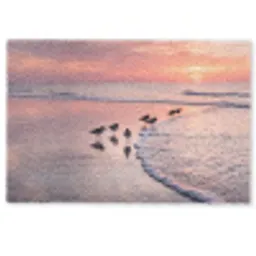 Meeuwen - Strand - Zee - Roze Deurmat klein -zkaufland3d