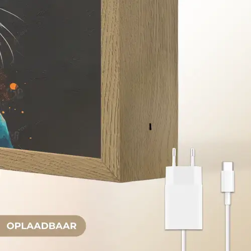 Graffiti - Kat - Zwart - Jas - Street art Light Box met batterij (Wandlamp) middel -USP_websiteoplaadbaarNL