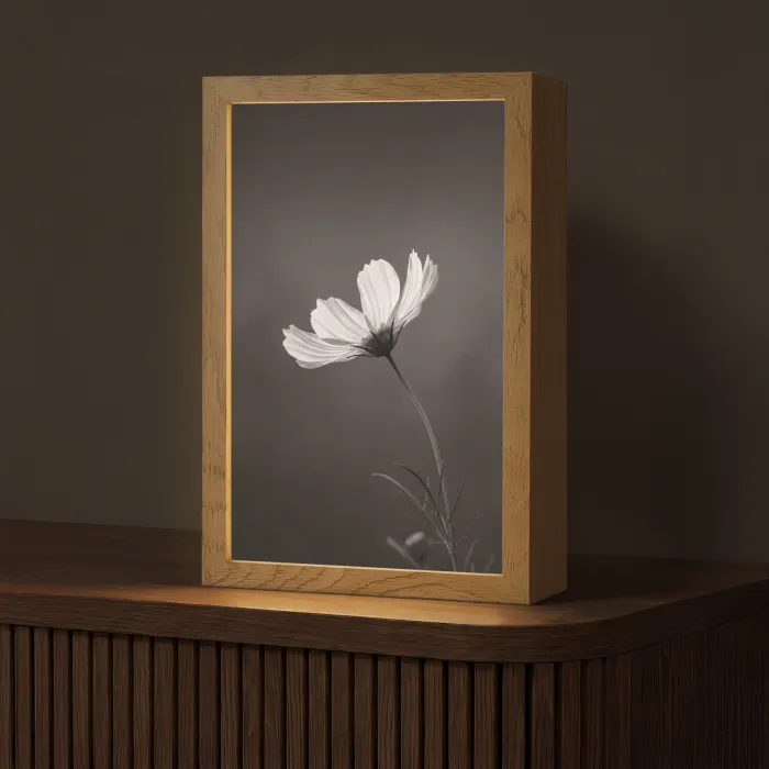 Bloem - Minimalistisch - Zwart - Wit Light Box met kabel (Tafellamp) klein -z3d_website