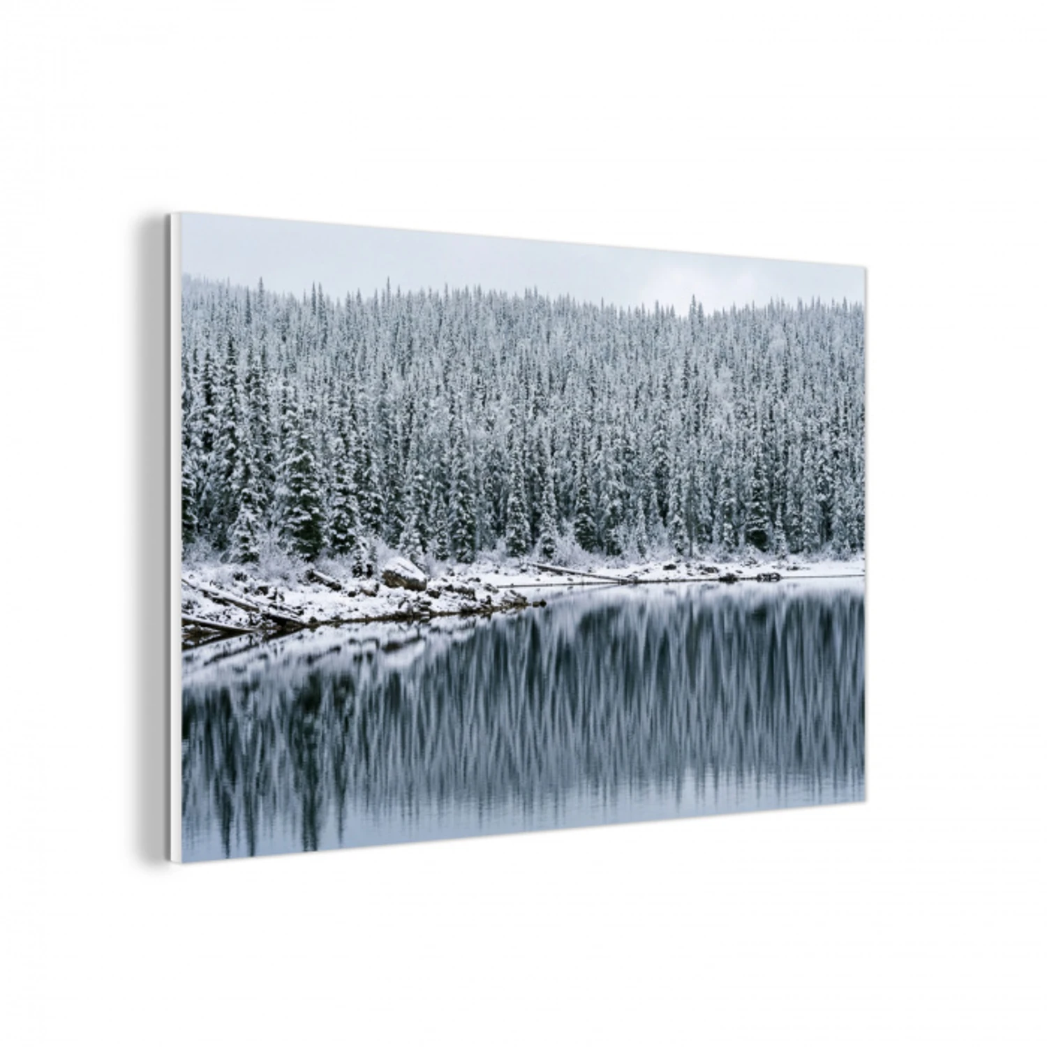 Bos - Reflectie - Meer - Winter - Serene forex 5mm xxl -3d