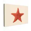 Zeester - Bobbels - Rood canvas 2cm klein -z3d