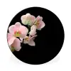 Orchidee - Bloemen - Roze - Stilleven - Flora Wandcirkel aluminium klein -3d