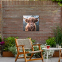 Imposante Hooglander in de Natuur Tuinposter op houten frame 2 cm dik middel -sfeer3